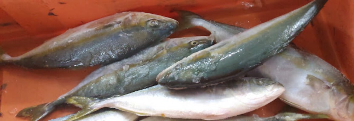 Samaki Poa (Kengeleni)