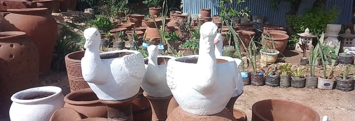 Noabam pots,plants and Landscaping