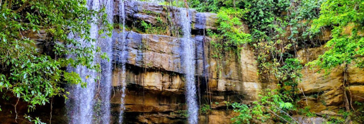 Shimba Hills National Reserve