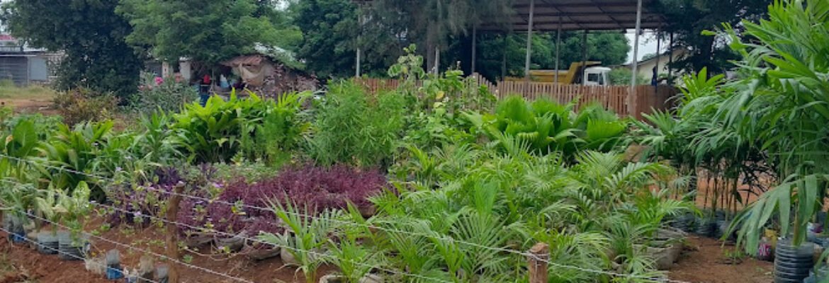 Gardening Galore kenya