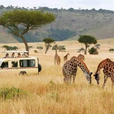 East Africa Group Safari Tour