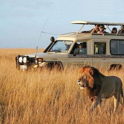 East Africa Group Safari Tour